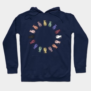 Circle of Balanced Rainbow Cats Hoodie